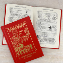 Load image into Gallery viewer, Personalised Horrible Histories Awful Egyptians Book