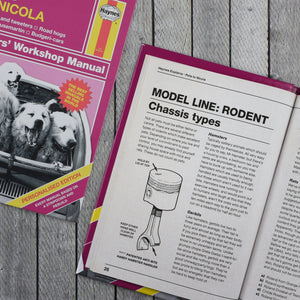 Personalised Haynes Explains Pets