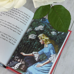 Beauty and the Beast: A Ladybird Personalised Book