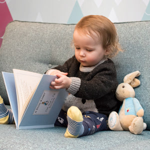 Peter Rabbit Personalised Book and Plush Toy Gift set