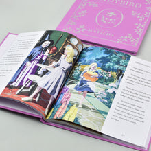 Load image into Gallery viewer, Personalised Ladybird Storybook Compendium - Pink