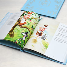 Load image into Gallery viewer, Personalised Ladybird Storybook Compendium - Blue