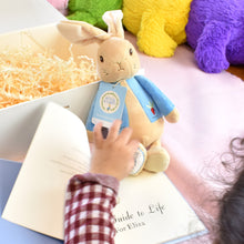 Load image into Gallery viewer, Peter Rabbit Personalised Book and Plush Toy Gift set